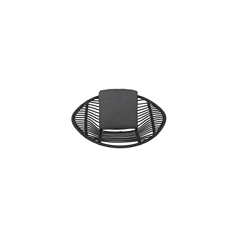 Christopher Knight Home Aleah Indoor Woven Faux Rattan Chairs with Cushions (Set of 2), Dark Gray Finish