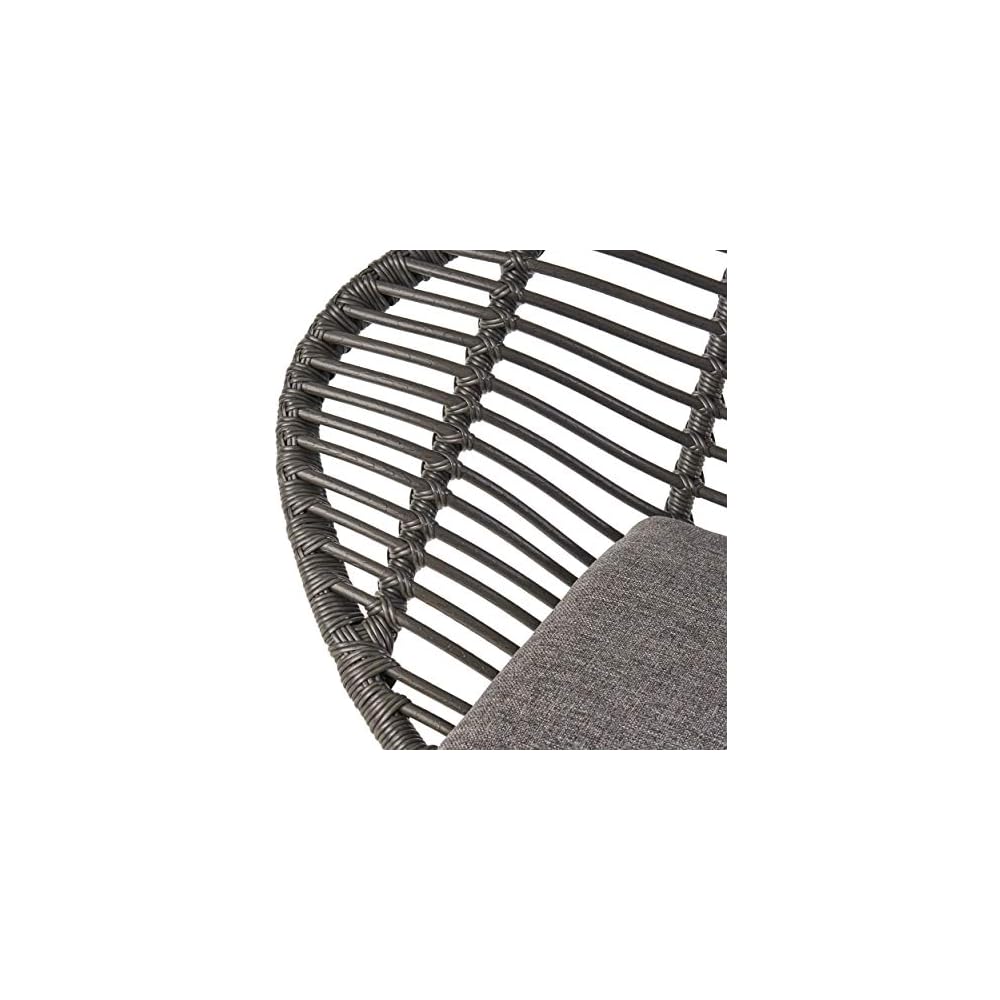 Christopher Knight Home Aleah Indoor Woven Faux Rattan Chairs with Cushions (Set of 2), Dark Gray Finish